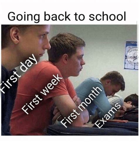 school memes|positive memes for students.